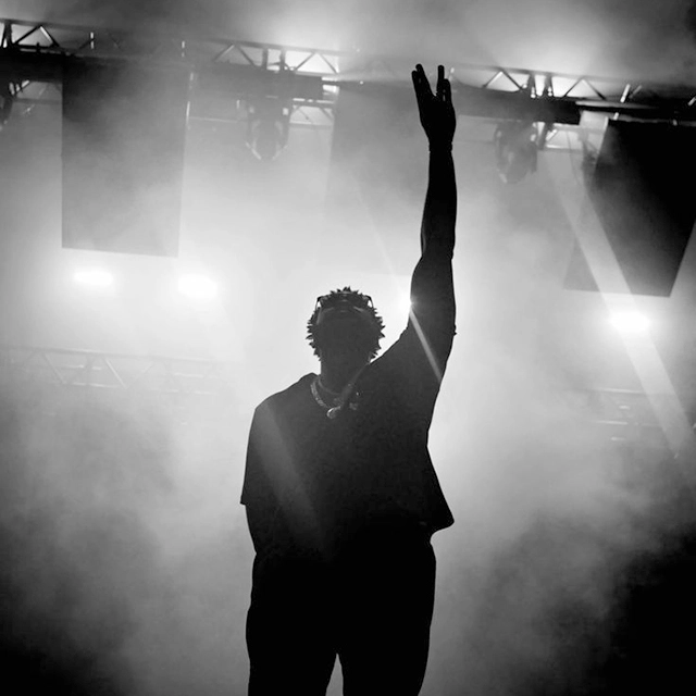 photographie d'un concert de Damso