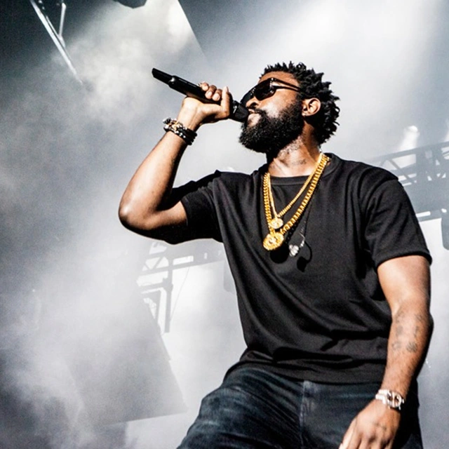 photographie d'un concert de Damso